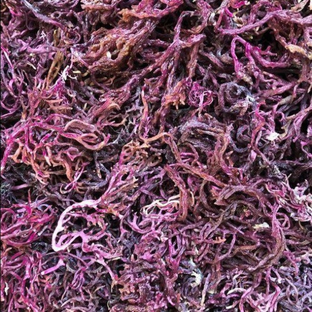 100% Natural Wild St Lucia Irish Sea Moss 1lb dry.